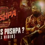 Pushpa 2: The Rule Cast And Their Salary